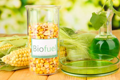 London Apprentice biofuel availability